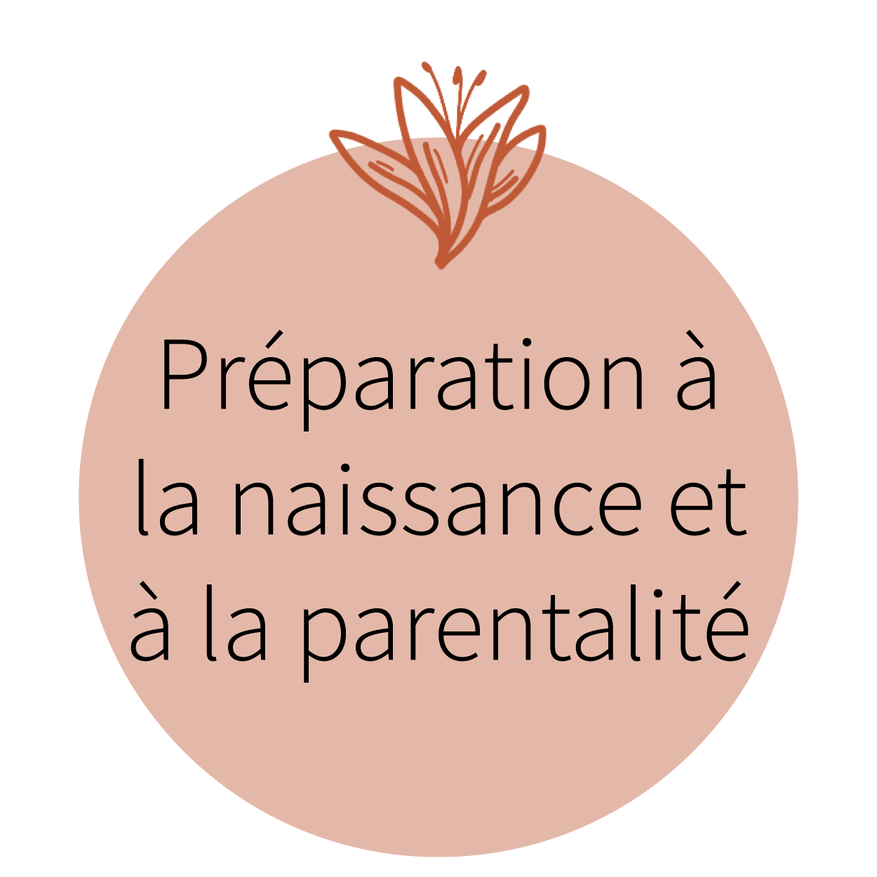 Préparation naissance et parentalité_Plan de travail 1