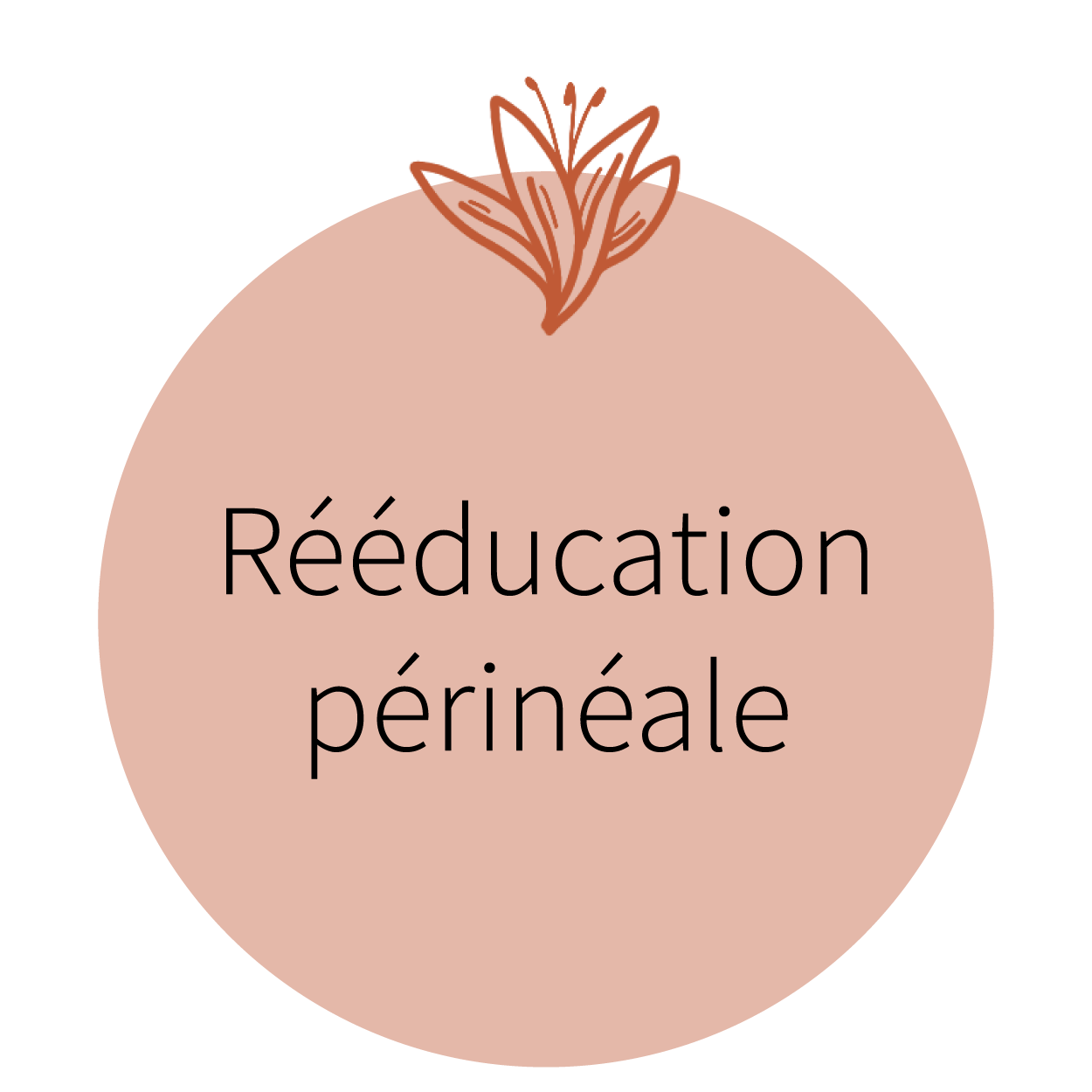 reeducation perineale_Plan de travail 1